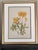 Vintage Botanicals Framed Set of 2 - Authentic Vintage 1953 Prints For Sale - Image 4 of 6