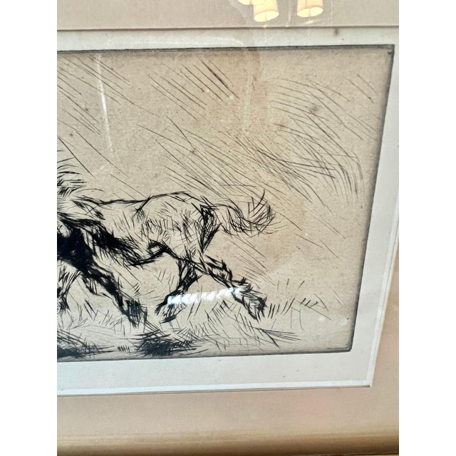White Edmund Blampied Pen Drawing of a Horse Matted & Framed in Gilt Frame For Sale - Image 8 of 12