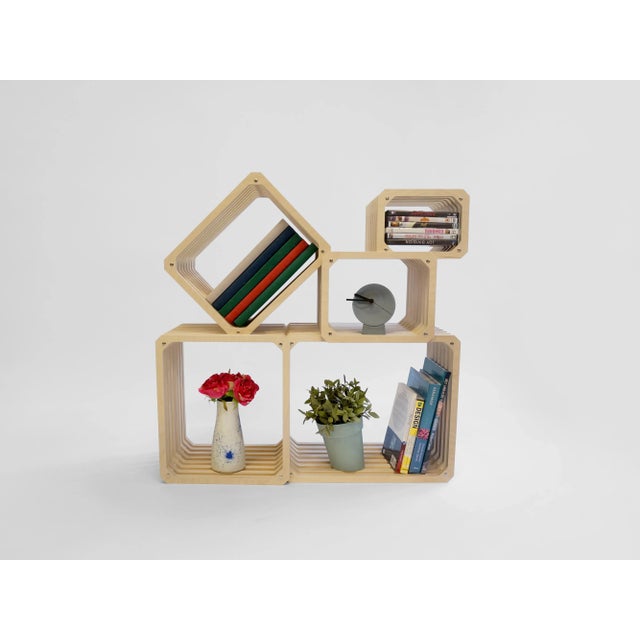 Parallel Shelving from Studio Lorier For Sale - Image 6 of 10