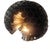 Silver Planet Gong Suspension Lamp by Dario Nasuti For Sale - Image 8 of 12