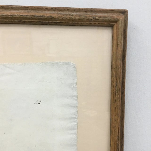 Late 19th Century 19th Century French Framed Engraving of Male Torso Sculpture For Sale - Image 5 of 6