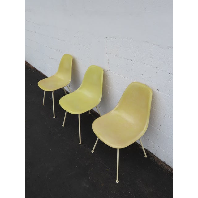 Herman Miller Eames Set of 3 Fiberglass Shell Chairs 1960s Light Yellow 6640 For Sale - Image 13 of 18