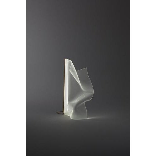 Gweilo qin pr floor lamp. Hand-moulded, transparent acrylic structure. Led strip embedded in gold or silver anodized...
