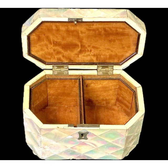 Shell English Mother-of-Pearl Tea Caddy For Sale - Image 7 of 11