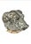 Antique Figural Dog Head Tobacco / Cigarette Box ~ Circa Late 19th Century For Sale - Image 11 of 11