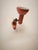 Adjustable Spotlight with Push Button Switch, 1970s, in Very Good conditions. Designed 1970 to 1979 Up to 250V (Europe/UK...