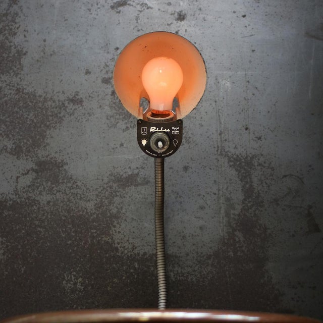 Wall light spot down lighter with clamp Grey shade with gooseneck arm, easy adjustable in angle. Clamp size 15,5 cm. E27 /...