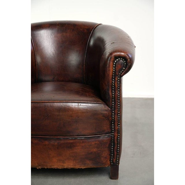 Vintage Sheepskin Club Armchair For Sale - Image 9 of 14