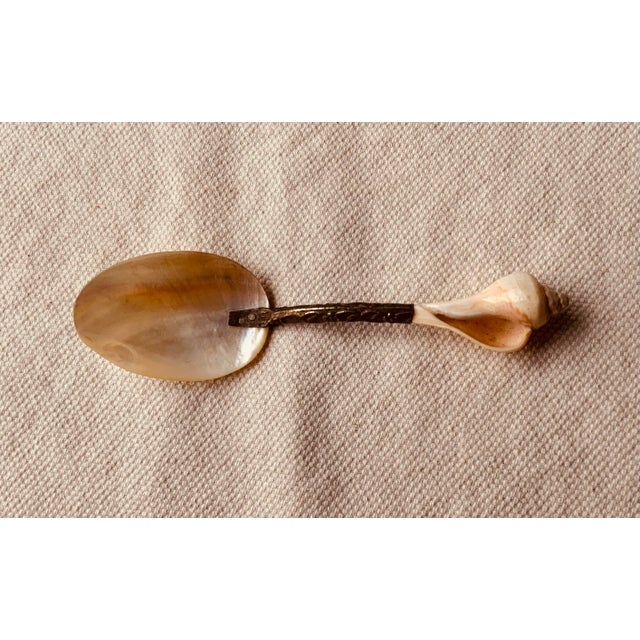 Mid 20th Century Crystal Oyster Shell Caviar Dish With Mother of Pearl & Whelk Shell Spoon For Sale - Image 4 of 18