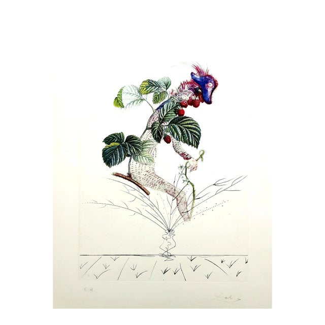Salvador Dali - Raspberry - Original Hand-Signed Lithograph 1969 For Sale