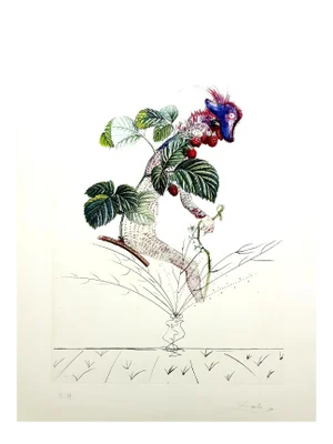 Salvador Dali - Raspberry - Original Hand-Signed Lithograph 1969
