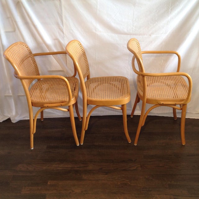 Prague Bentwood Cane Chairs Set of 5 Chairish
