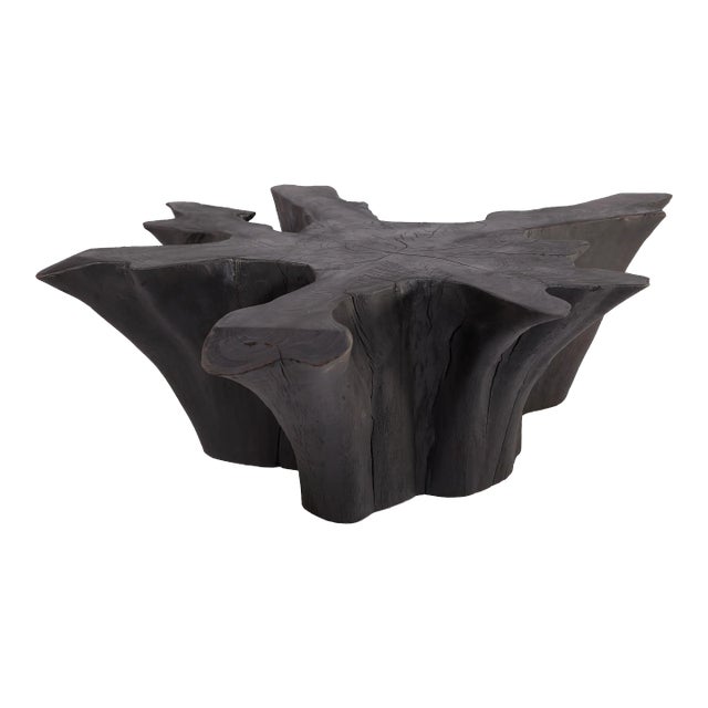 Black Burnt Organic Teak Root Coffee Table 78 For Sale