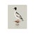 William Lewin 1789 Waterbirds Fine Art Gallery Board Print - The Goosander For Sale - Image 10 of 11
