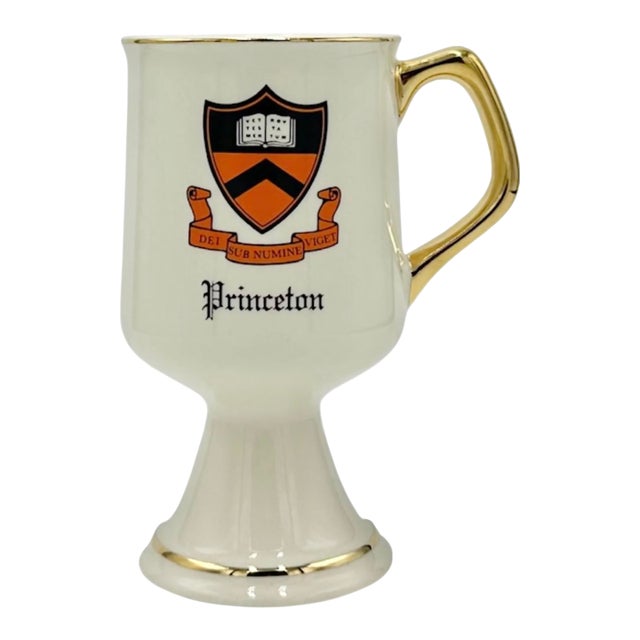 Vintage Princeton University Pedestal Cup For Sale