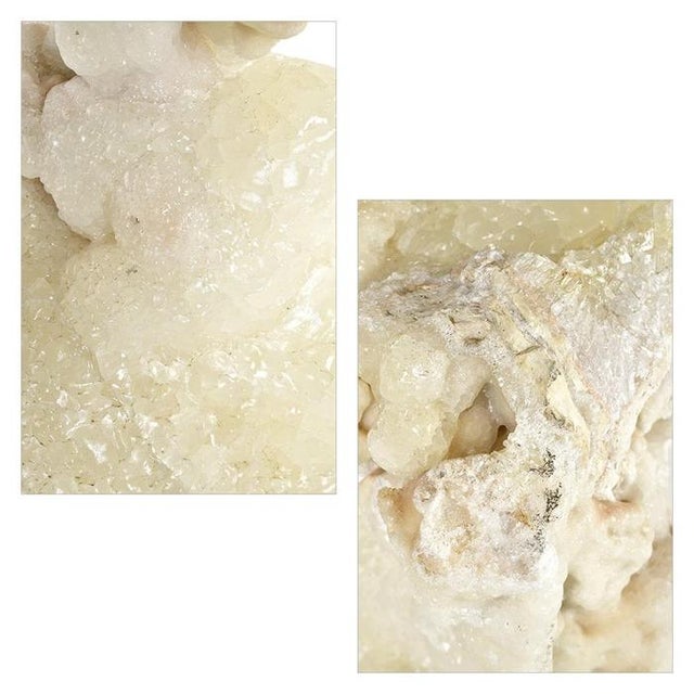 Wood Calcite Concretion on Wooden Base For Sale - Image 7 of 8