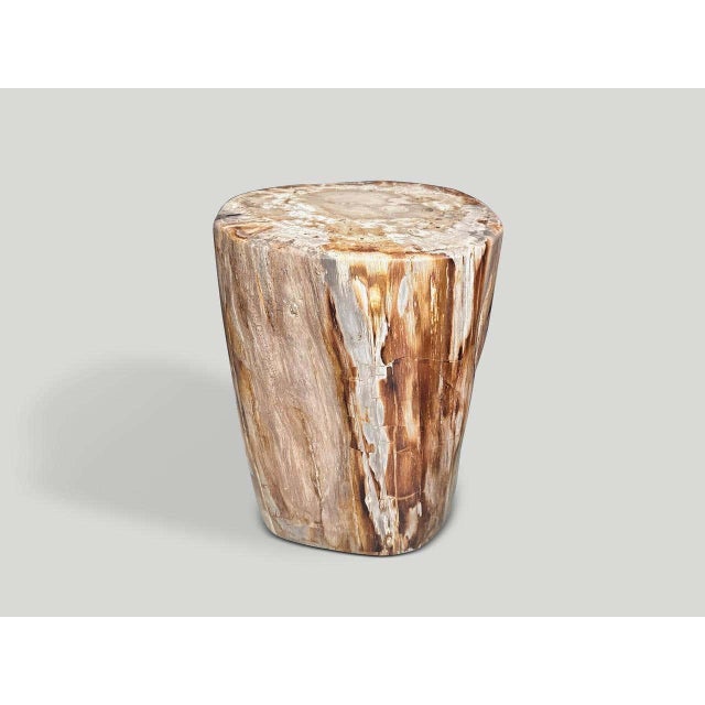 Andrianna Shamaris Coral Toned High Quality Petrified Wood Side Table For Sale In New York - Image 6 of 6