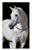 Arabian Horse on Canvas Photography in Silver Frame For Sale