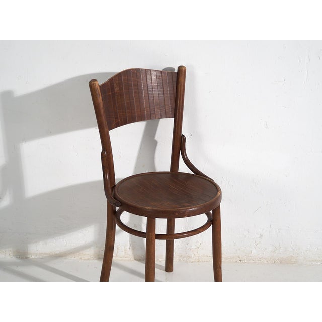 Brown Antique Dining Chairs from Thonet, 1920, Set of 6 For Sale - Image 8 of 18