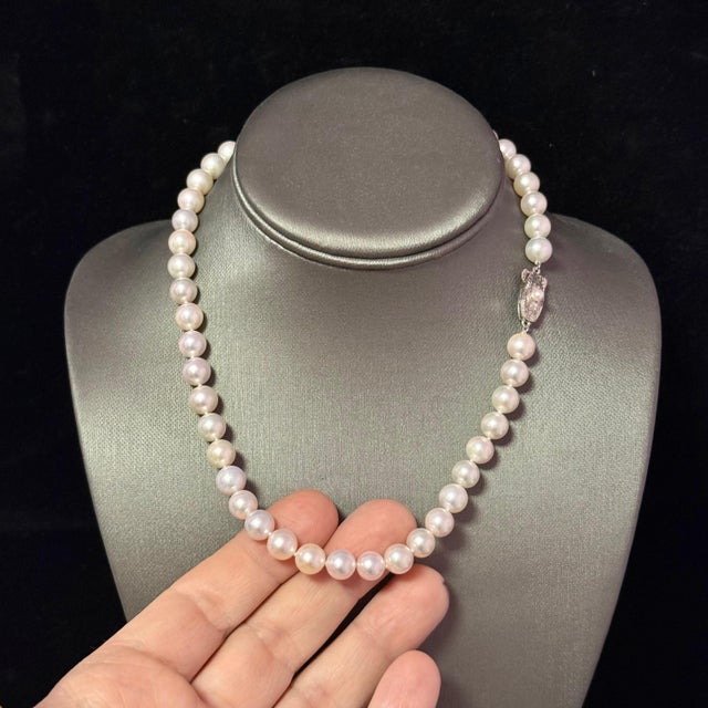 1990s Mikimoto Akoya Pearl Necklace 17" Sterling Silver 8 - 8.5 mm Estate For Sale - Image 10 of 11