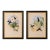 1990s Framed Prints, Set of 2, Refulgent Wood-Nymph, and Black-Banded Wood-Nymph, Hummingbirds Hill House Editions For Sale
