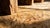 Beige 1920s Beige Geometric Antique Indian Indian Amritsar Rug 11' X 13'6" Hand Knotted Wool Carpet For Sale - Image 8 of 9