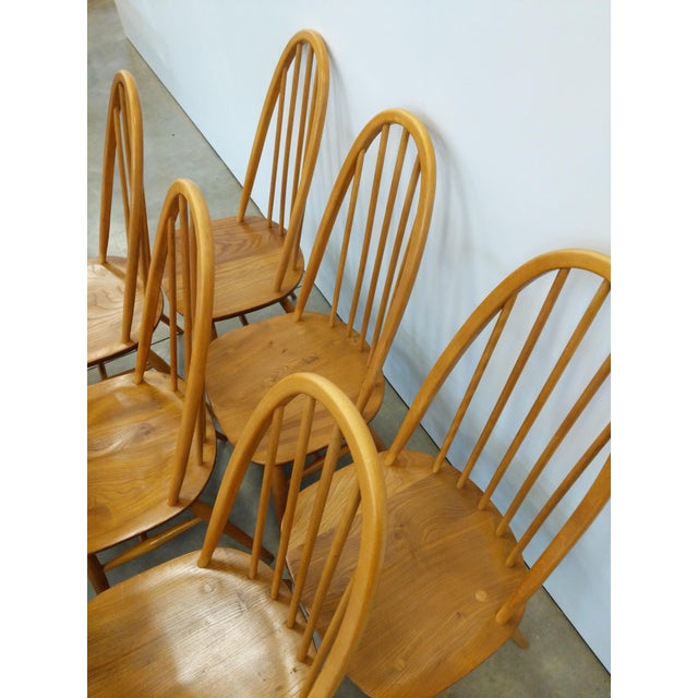 Set of 8 Vintage Mid Century Modern Dining Chairs by Ercol For Sale - Image 10 of 12