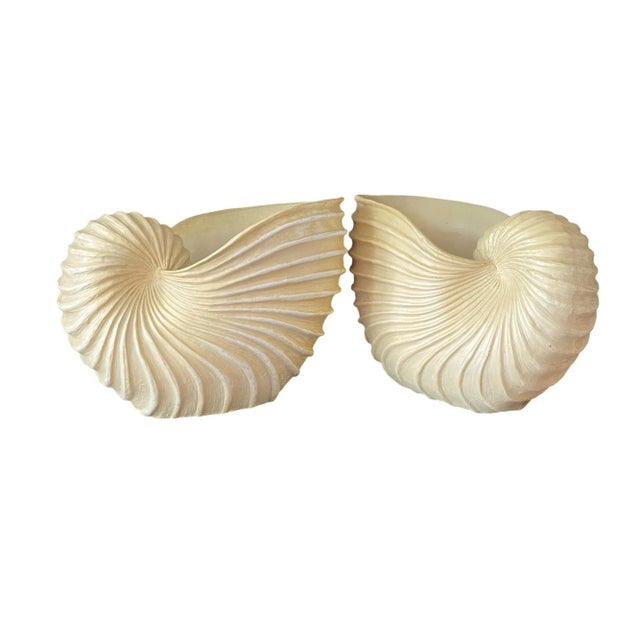 This listing features an absolutely beautiful unbranded and one of a kind large decorative Nautilus shell planter made out...