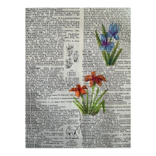 Original Colored Pencil Botanical on Vintage Dictionary Page “Irises” For Sale