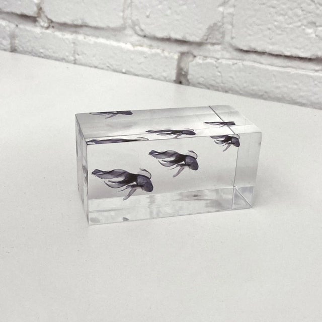 DWM | MALOOS DWM | MALOOS Lucite Blue Fish Decorative Paper Weight, Made in the Usa For Sale - Image 4 of 7