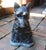 1990s Vintage 1990s American Cast Stone and Painted Scottie Dog Garden Statue For Sale - Image 5 of 5
