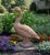 Vintage Terracotta-Style Standing Goose Garden Statue For Sale In West Palm - Image 6 of 9