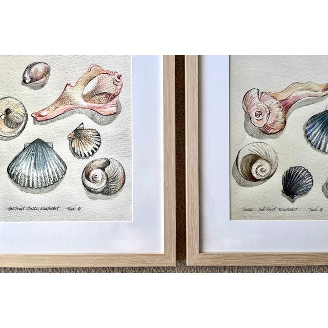"Nantucket Shells" Watercolor Prints-Custom Framed, Signed-1991 For Sale - Image 4 of 6