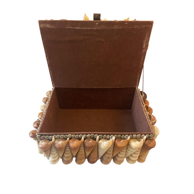 Vintage Shell Box For Sale - Image 4 of 4