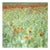 Paul Cooklin, Poppys, Suffolk, 2011, Edition of 50 For Sale