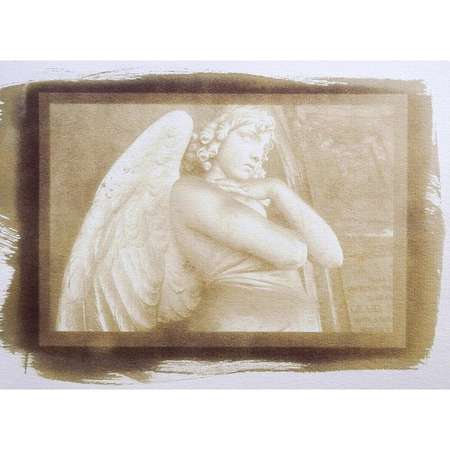 Late 20th century sepia tone cyanotype photograph on paper by Eric C. Weller (20th century) Texas of the Monteverde Angel...