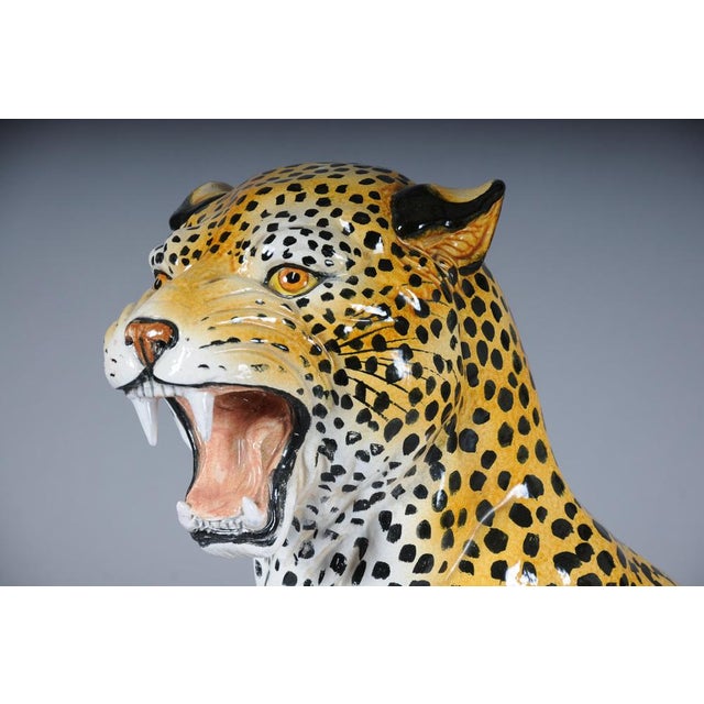 Leopard with Broken Foot For Sale - Image 4 of 18