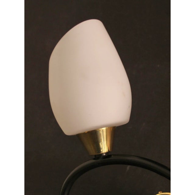 Sconce with Brass and Glass Shades from Lunel, France, 1960s For Sale - Image 4 of 8