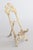 A gorgeous antique Art Nouveau ornate solid brass table size art easel or picture stand. This lovely stand is a nice large...