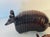 Skillfully carved tropical wood two armadillo figurines.