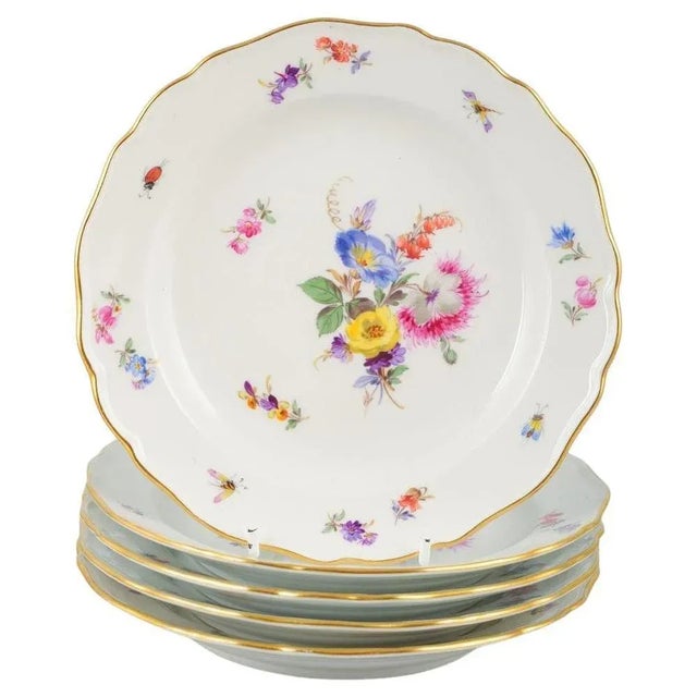 Hand-Painted Porcelain Plates with Floral Motifs from Meissen, Set of 5 For Sale - Image 5 of 5