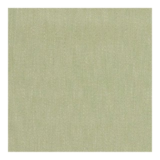 Sanderson Benwick Fabric in Leaf Green For Sale