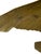 Mid 20th Century Brass Eagle Statue For Sale In Indianapolis - Image 6 of 6