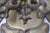 Continental Cast Brass Crowned Double-Headed Eagle & Dragon Candle Sconces — Pair, Attributed to the 19th Century For Sale - Image 15 of 18