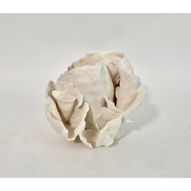 Chinoiserie Rare Natural Cups Coral Specimen For Sale - Image 3 of 8