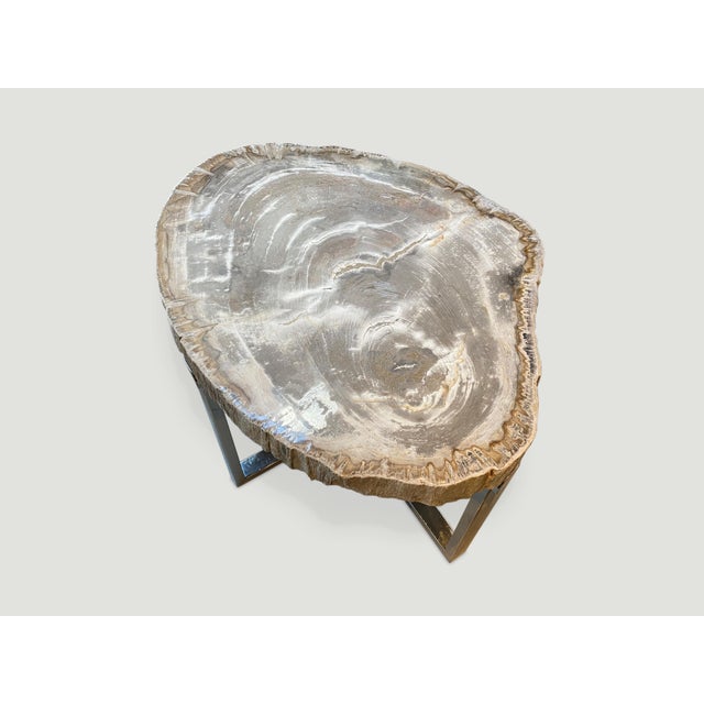 2010s Andrianna Shamaris High Quality Petrified Wood Slab Top Side Table For Sale - Image 5 of 18