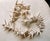 Vintage Costal Sea Shell Garland Table Decor or Holiday Decor For Sale - Image 4 of 9