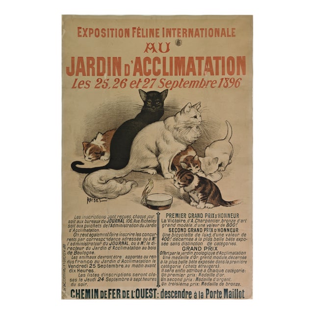 Original Cat Expo Lithographic Poster by Auguste Roedel, 1896 For Sale