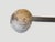 Antique Large Wood and Coconut Shell Ladle For Sale - Image 4 of 18