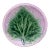 Etruscan Majolica Leaf Butter Pat, Circa 1890 For Sale